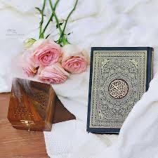ميمونة بنت الحارث رضي الله عنها (إناث)